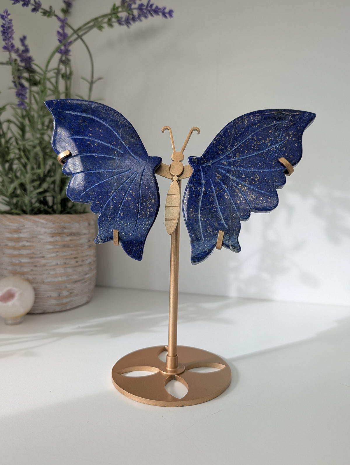 Lapis Lazuli Butterfly Wings on Custom Gold Stand