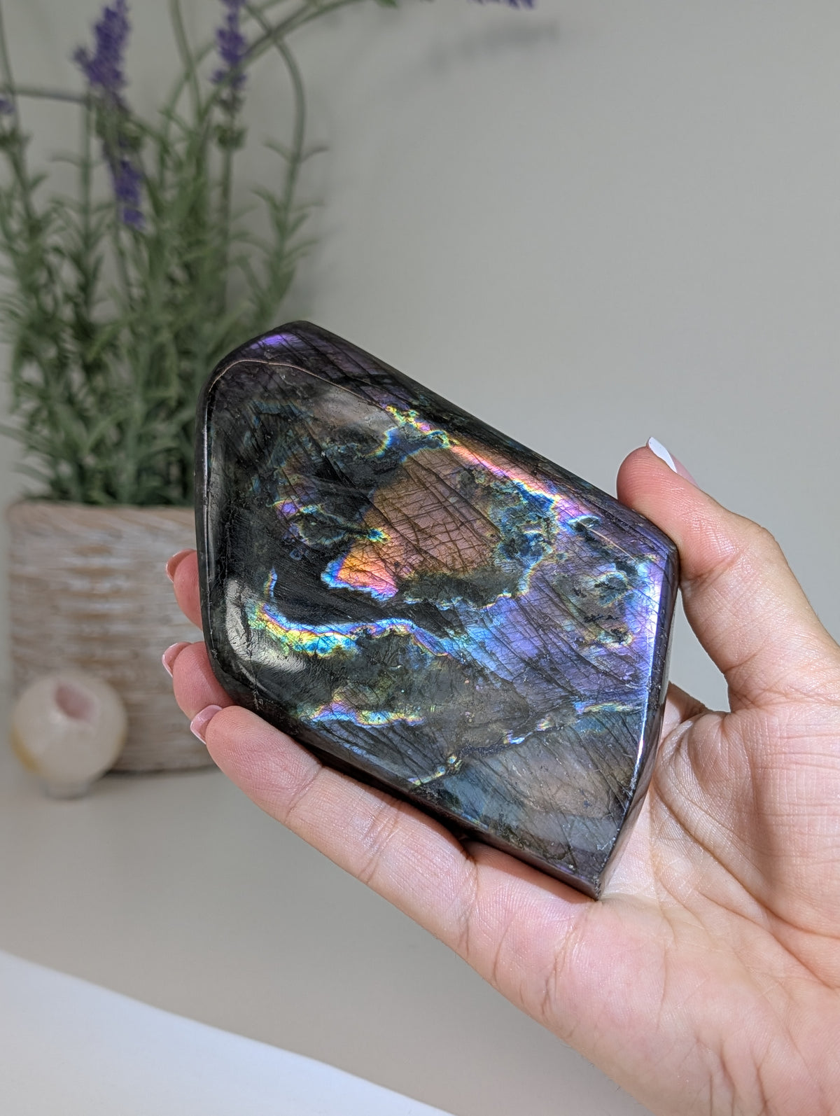 Madagascan Labradorite Freeform