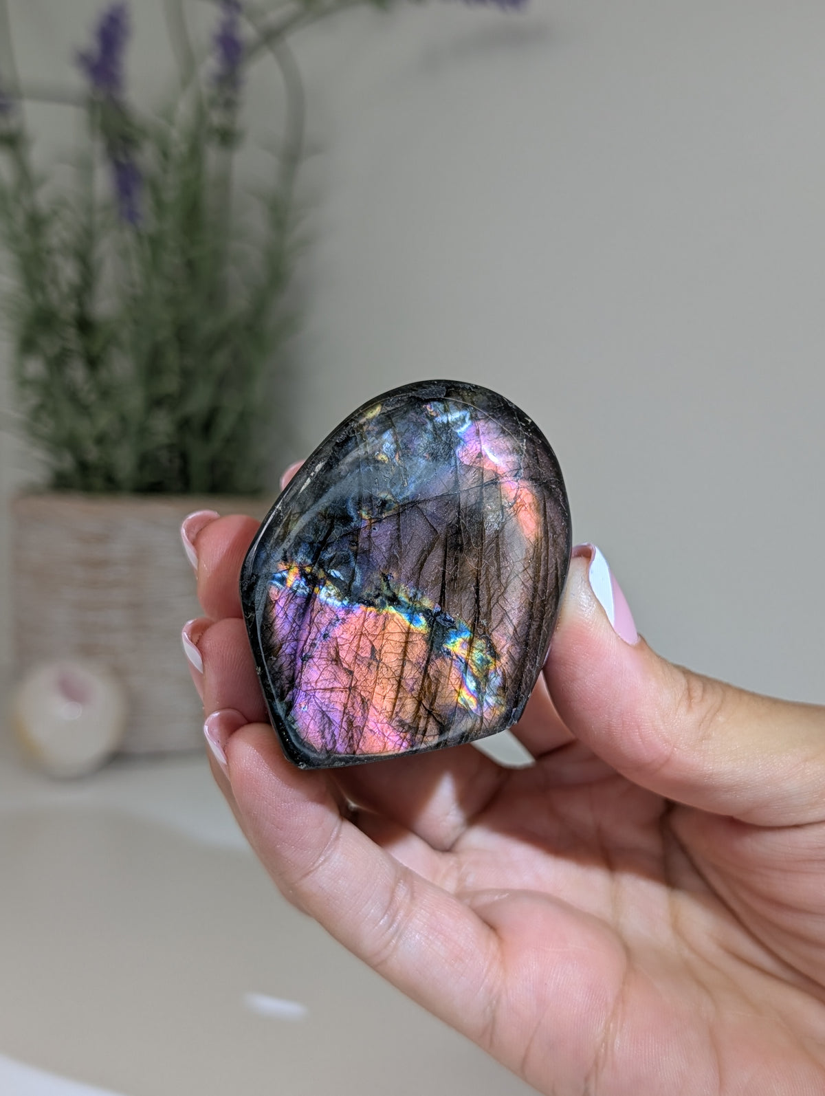 Madagascan Labradorite Freeform