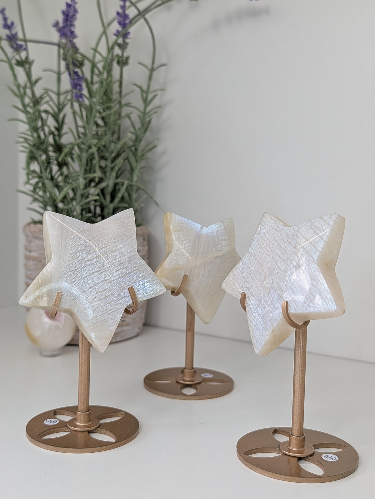 Blue / White Moonstone Stars on Custom Stands