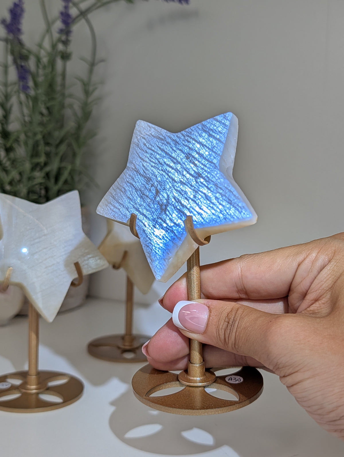 Blue / White Moonstone Stars on Custom Stands