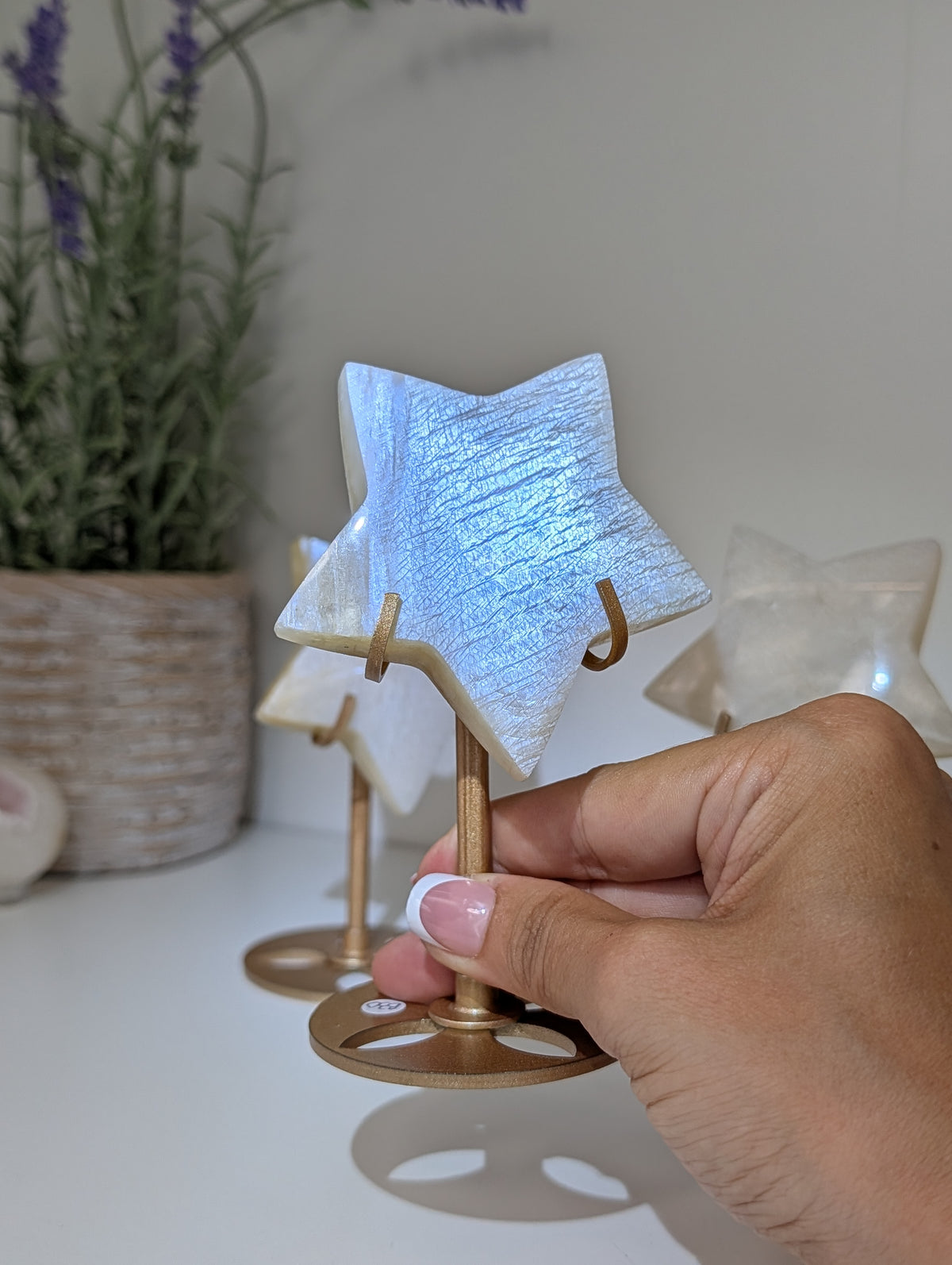 Blue / White Moonstone Stars on Custom Stands