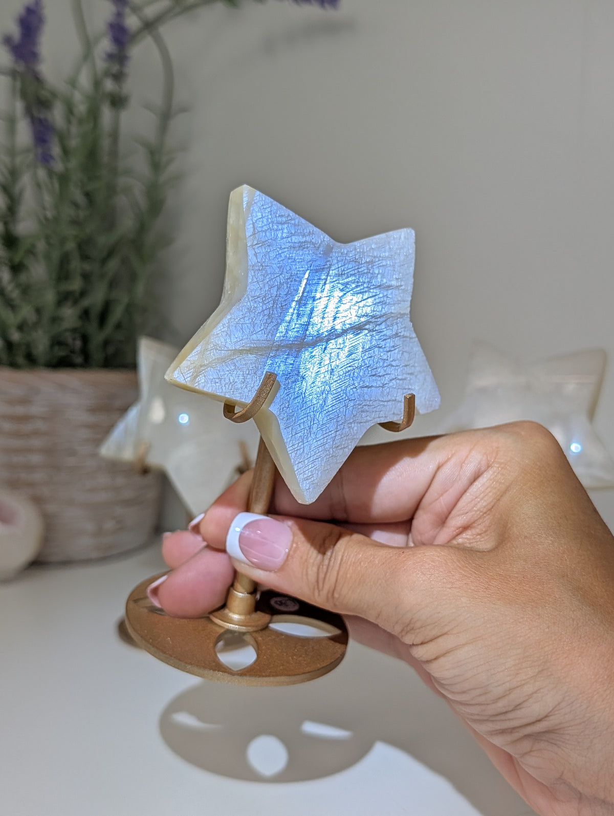 Blue / White Moonstone Stars on Custom Stands