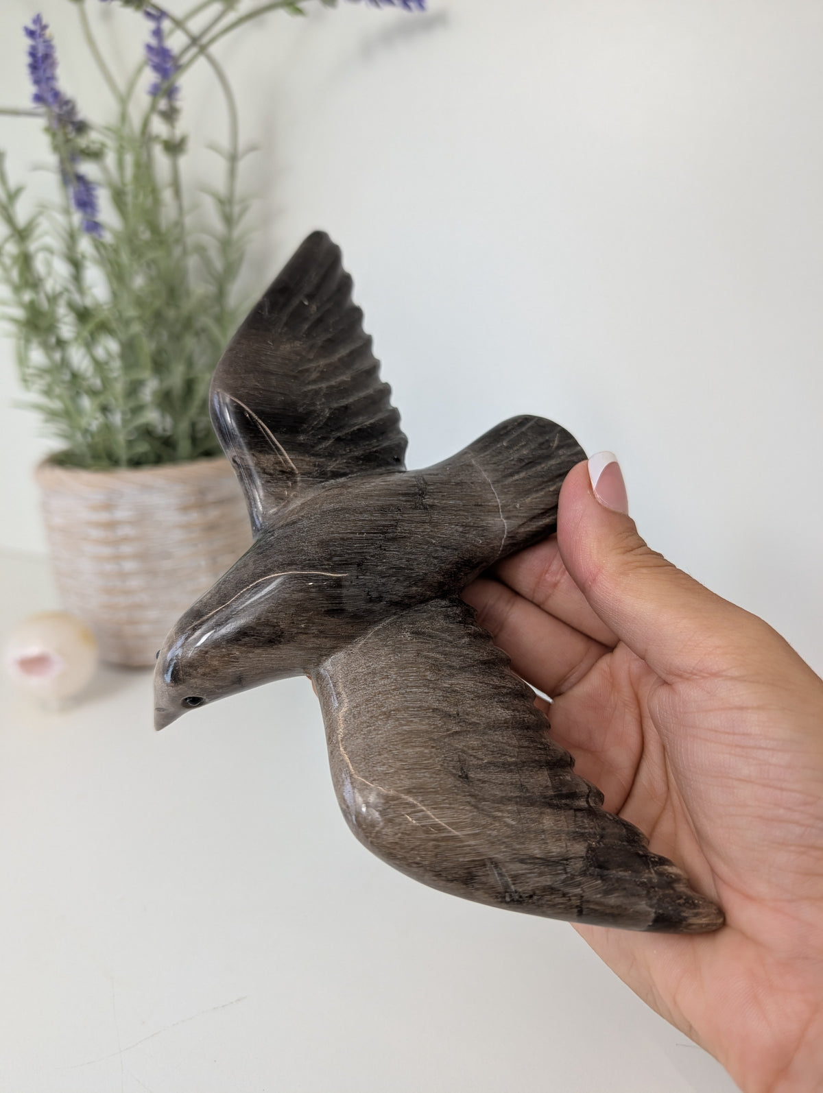 Hand Carved Petrified Wood Raven Bird on Custom Gold Stands from Indonesia