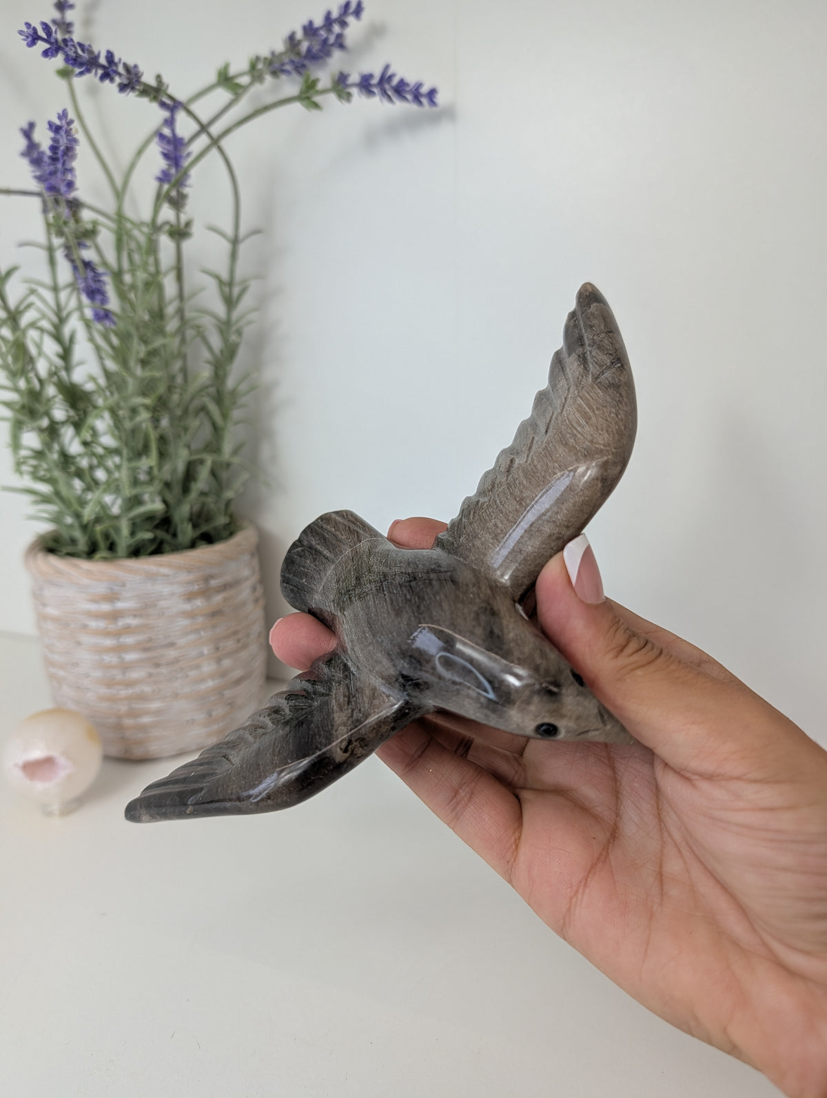 Hand Carved Petrified Wood Raven Bird on Custom Gold Stands from Indonesia
