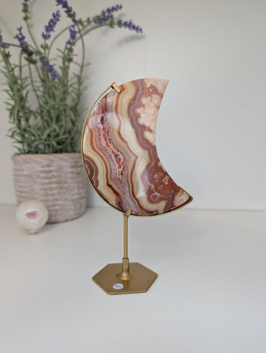 Pink Crazy Lace Moon on Custom Gold Stands from Indonesia