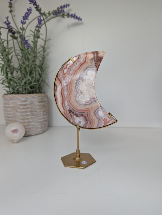 Pink Crazy Lace Moon on Custom Gold Stands from Indonesia