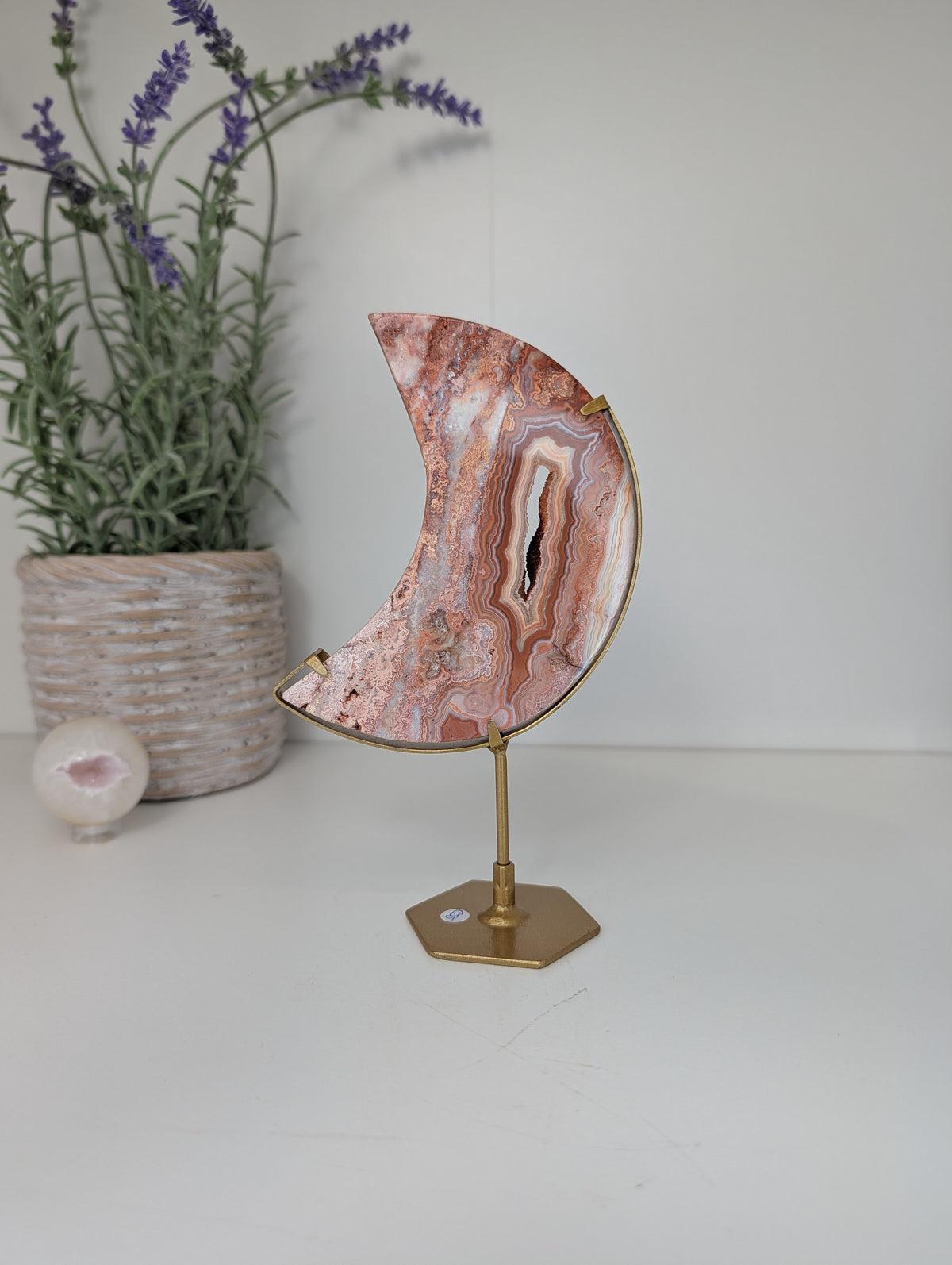 Pink Crazy Lace Moon on Custom Gold Stands from Indonesia