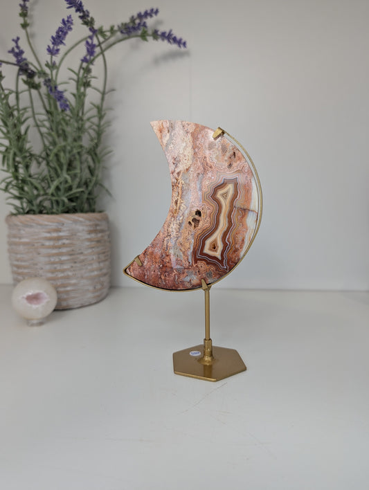 Pink Crazy Lace Moon on Custom Gold Stands from Indonesia