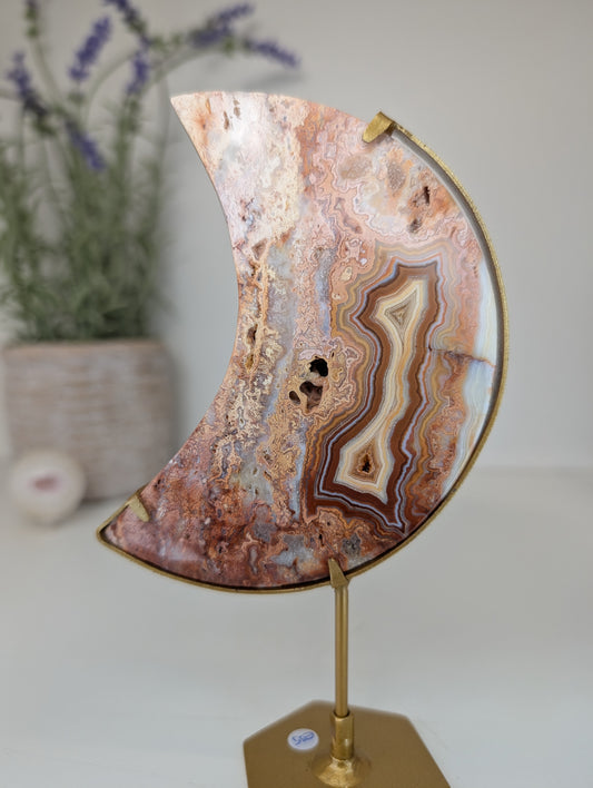 Pink Crazy Lace Moon on Custom Gold Stands from Indonesia
