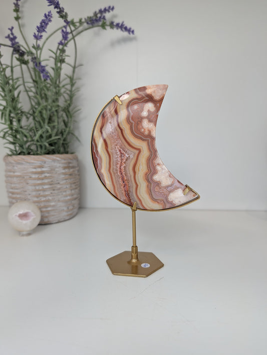 Pink Crazy Lace Moon on Custom Gold Stands from Indonesia