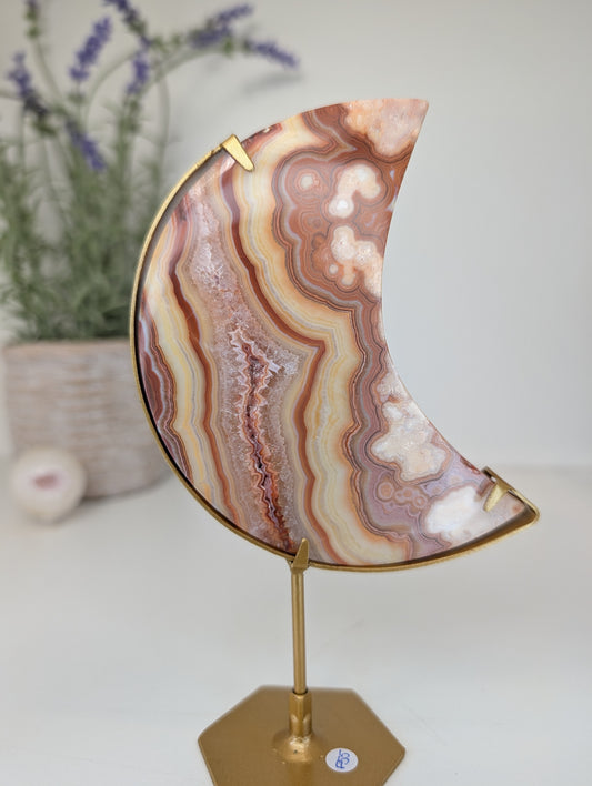 Pink Crazy Lace Moon on Custom Gold Stands from Indonesia