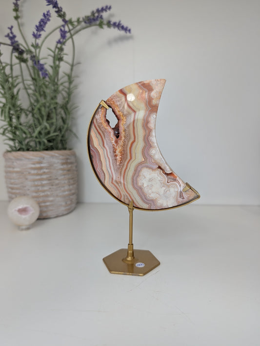 Pink Crazy Lace Moon on Custom Gold Stands from Indonesia