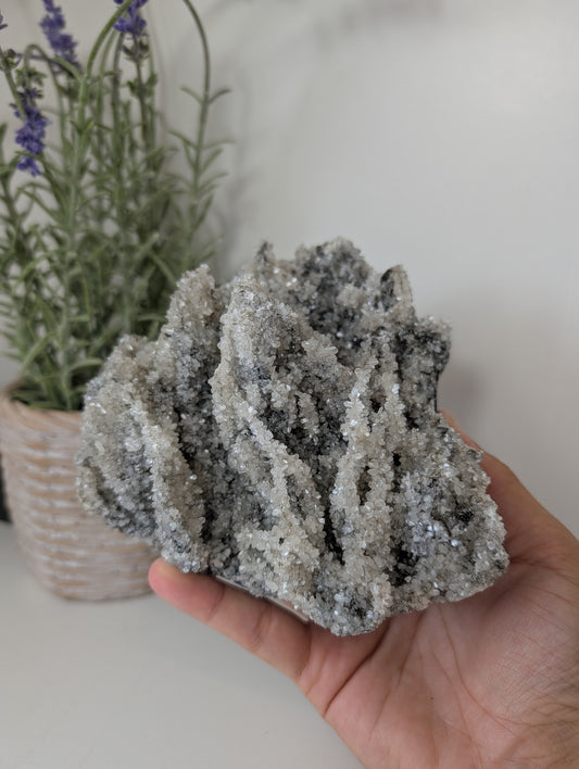Black Chalcedony with Sugary Stilbite Specimen from Bhopal, India