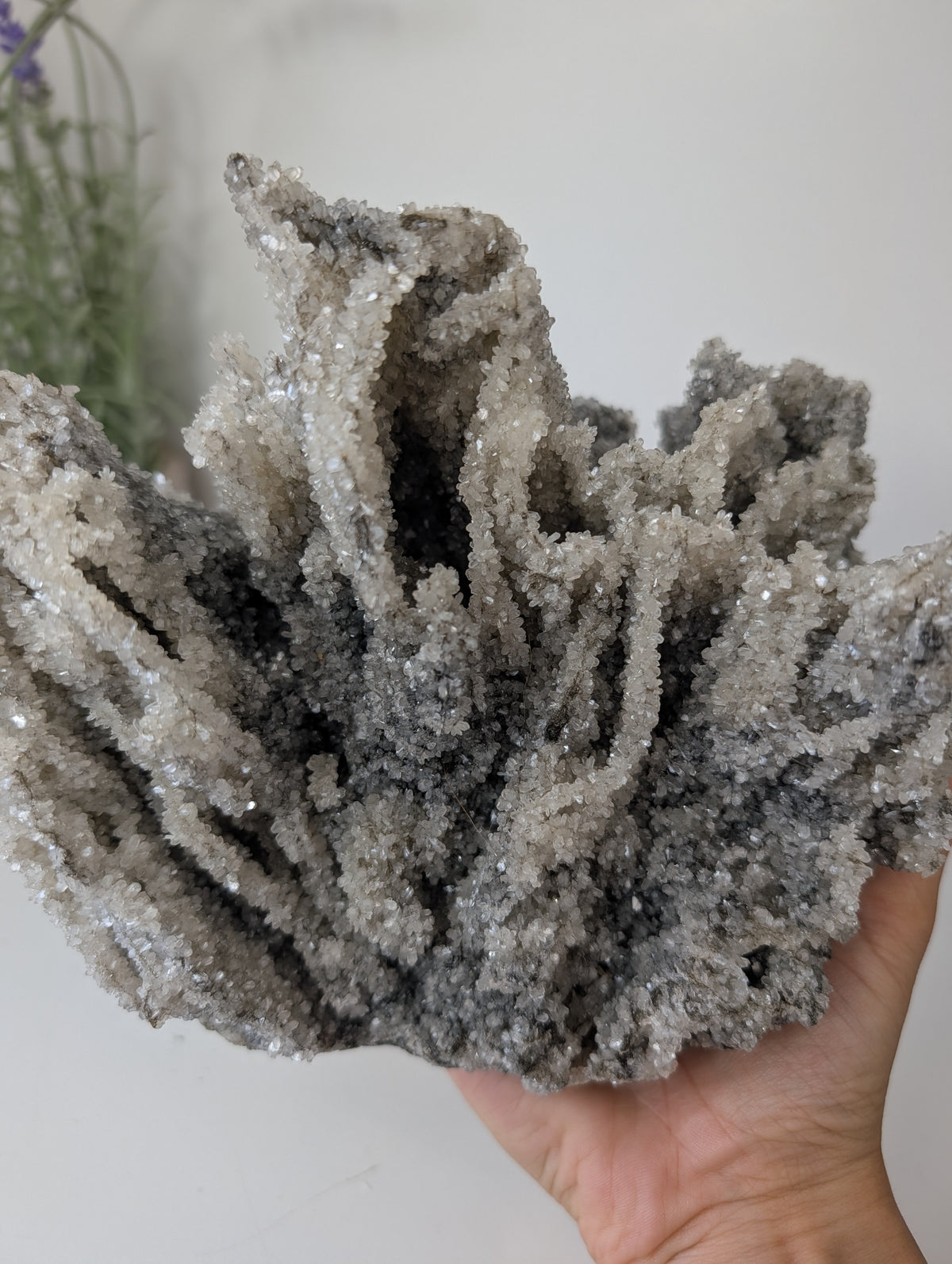 Black Chalcedony with Sugary Stilbite Specimen from Bhopal, India