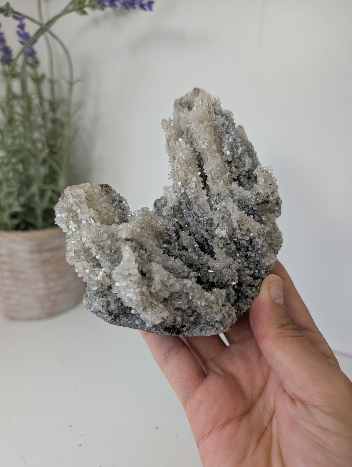 Black Chalcedony with Sugary Stilbite Specimen from Bhopal, India