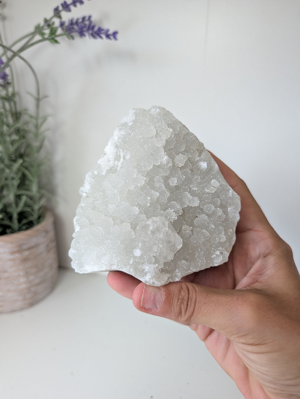 Sugary Apophyllite on Prehnite from India
