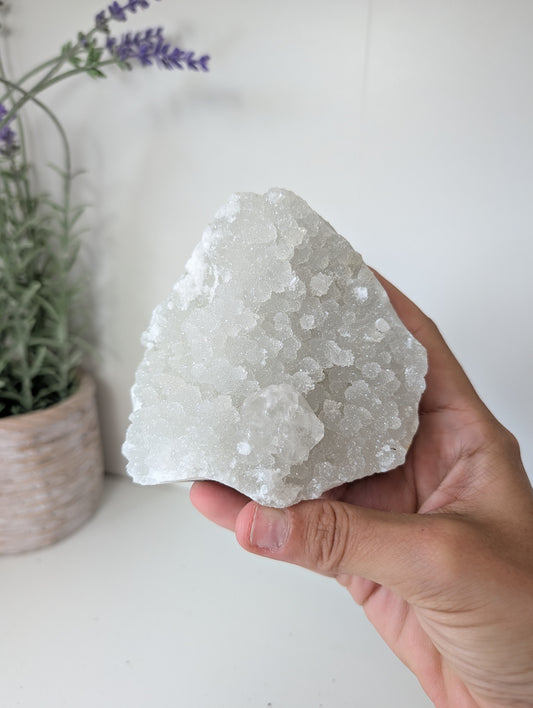 Sugary Apophyllite on Prehnite from India