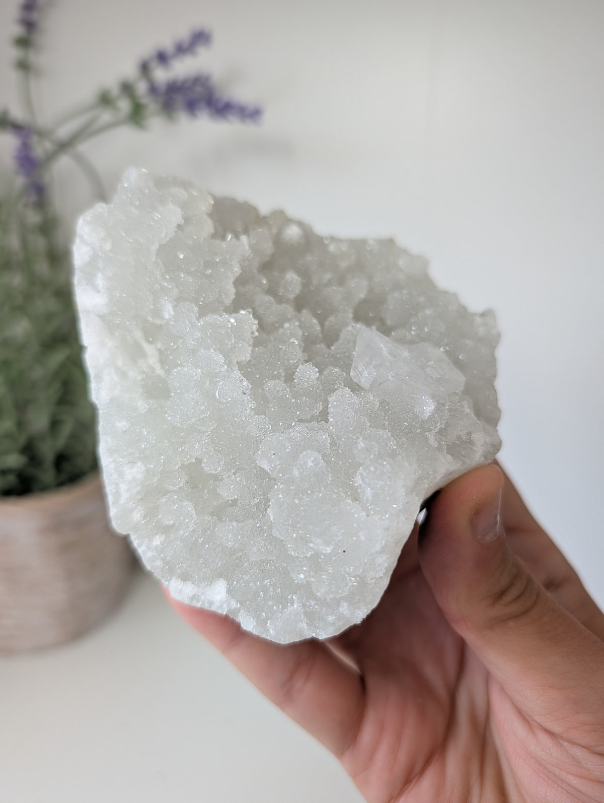 Sugary Apophyllite on Prehnite from India