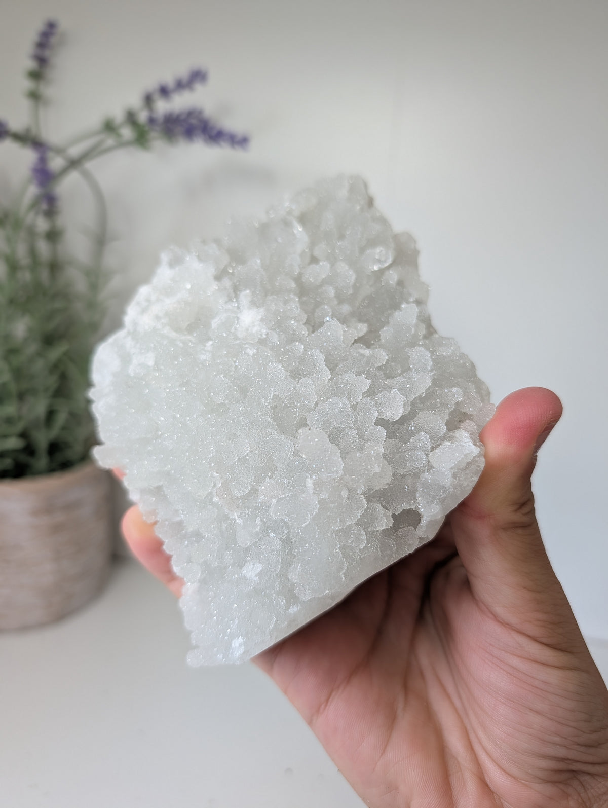 Sugary Apophyllite on Prehnite from India