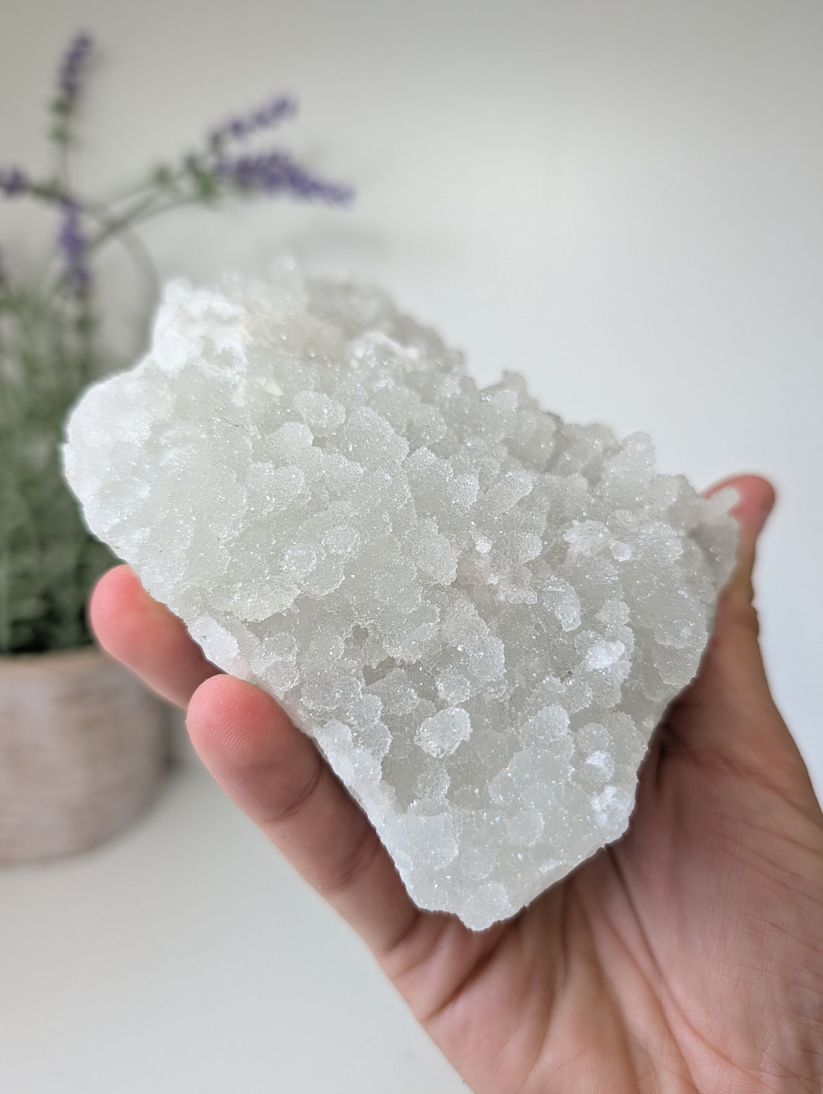 Sugary Apophyllite on Prehnite from India