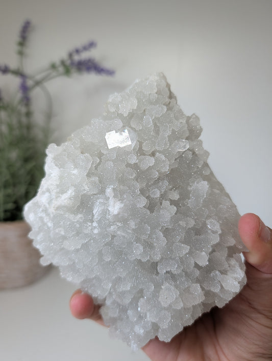 Sugary Apophyllite on Prehnite from India
