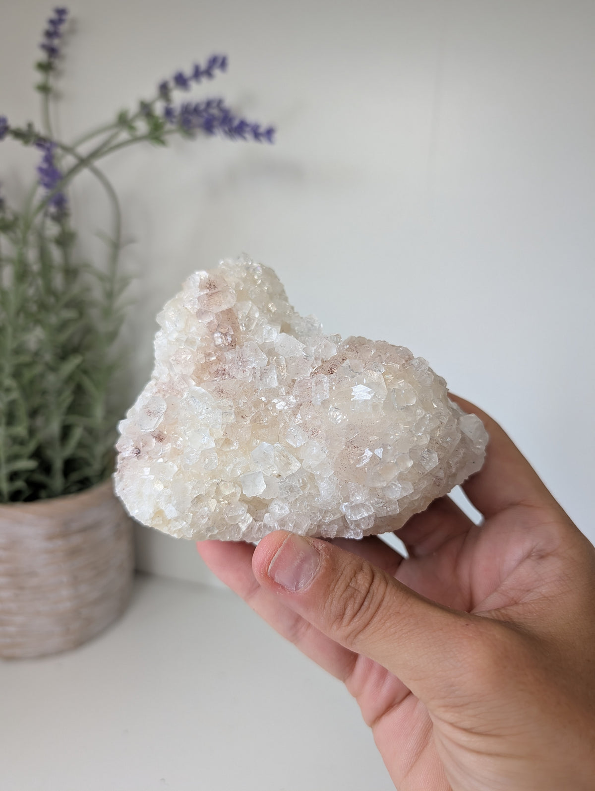 Sugary Apophyllite on Stilbite from Ahmednagar, India