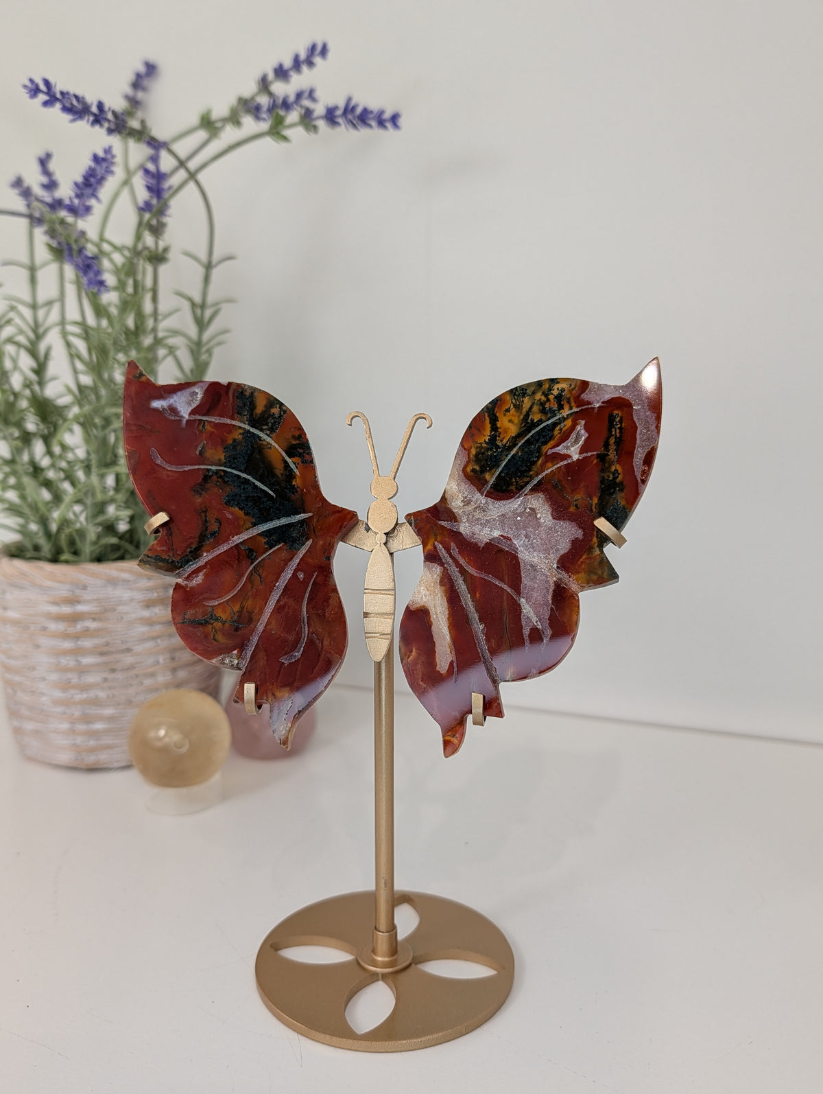 Carnelian Moss Agate Butterfly on Custom Gold Stand