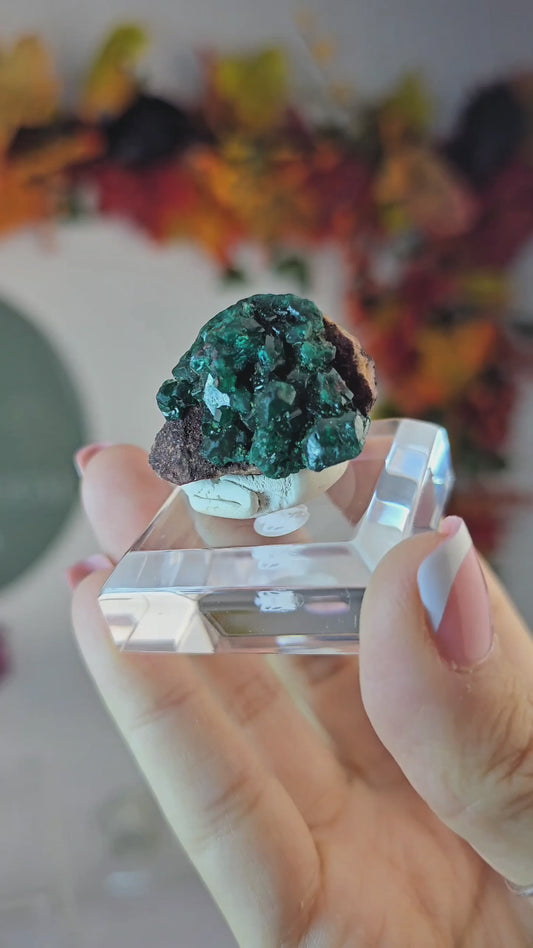 Dioptase Specimen B from Namibia - MAS3008