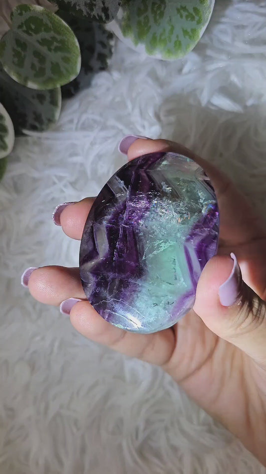 Fluorite Palm A - MAS1083