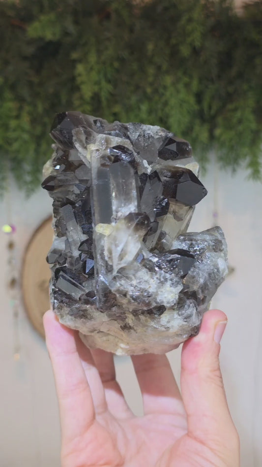 Brazilian Smokey Quartz Cluster