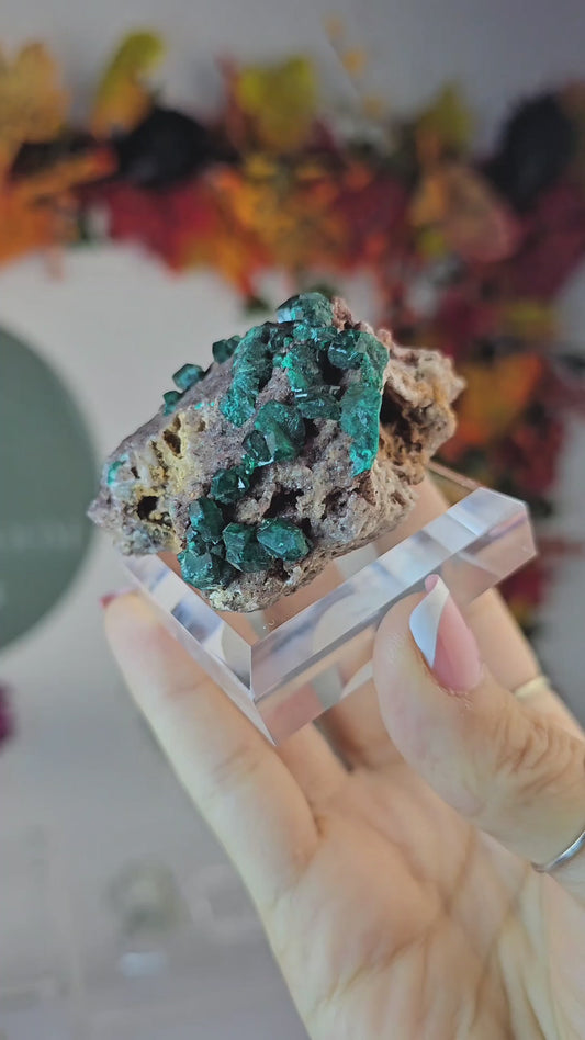 Dioptase Specimen BB from Namibia - MAS2735