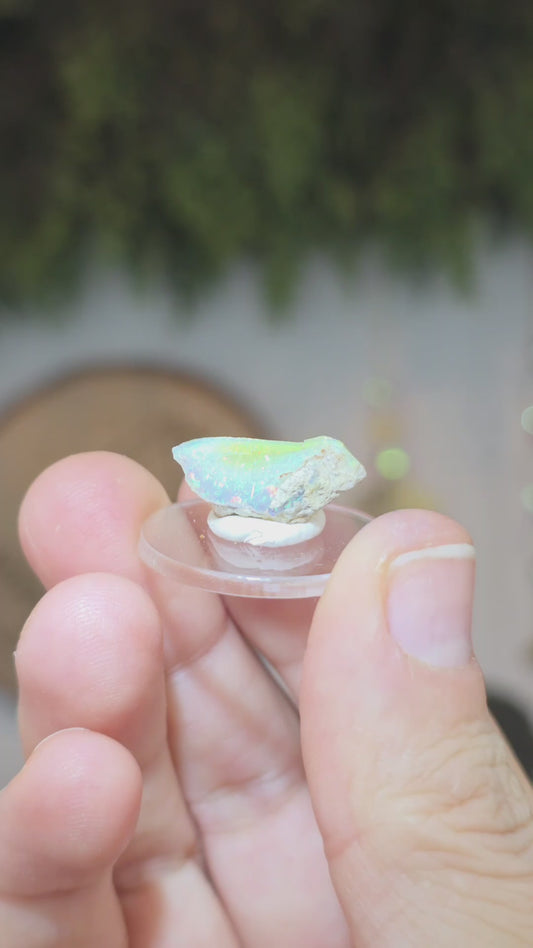 Ethiopian Dry Opal A - Rainbow Flash