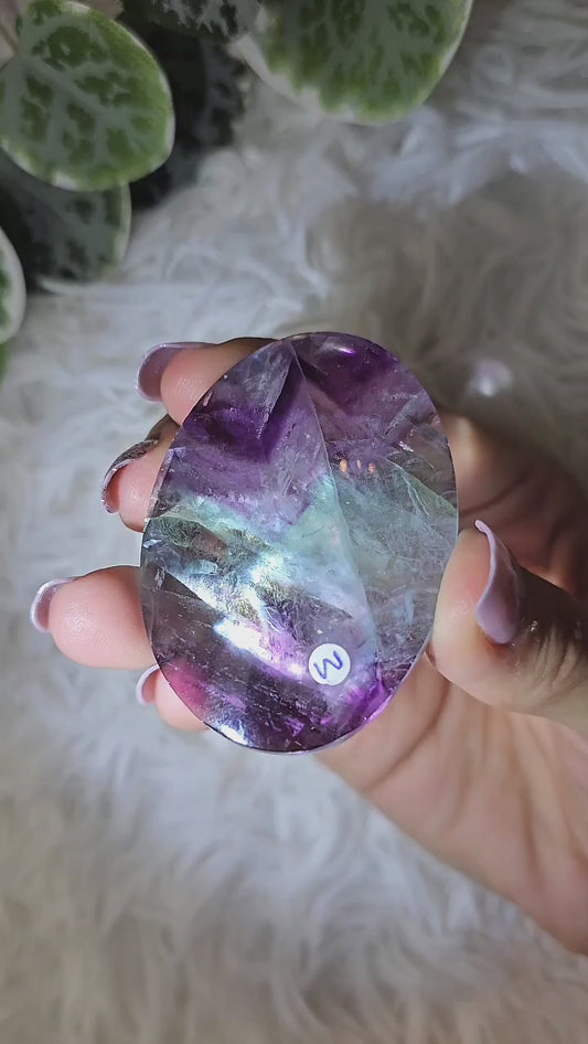 Fluorite Palm M - MAS1095