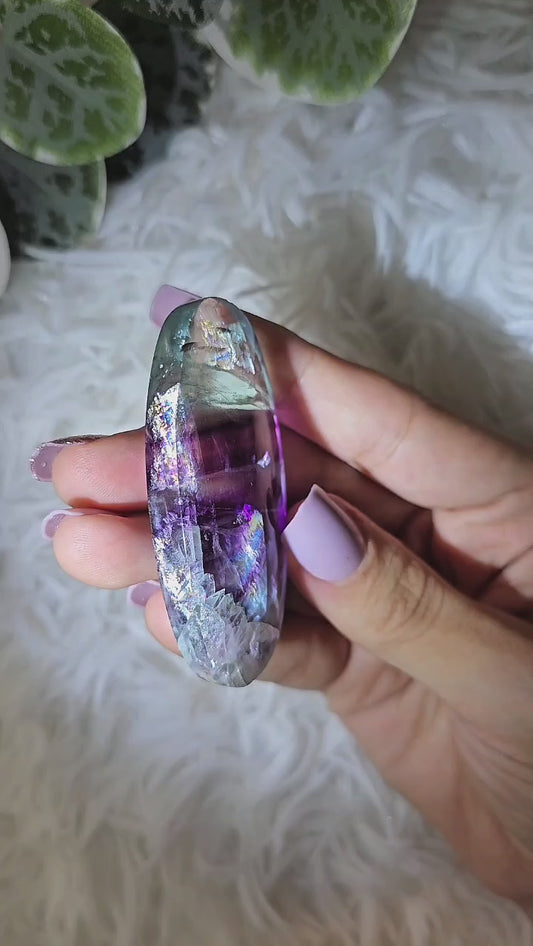Fluorite Palm R - MAS1100