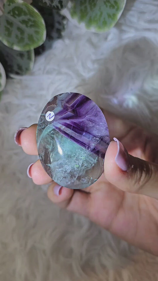 Fluorite Palm Z - MAS1108
