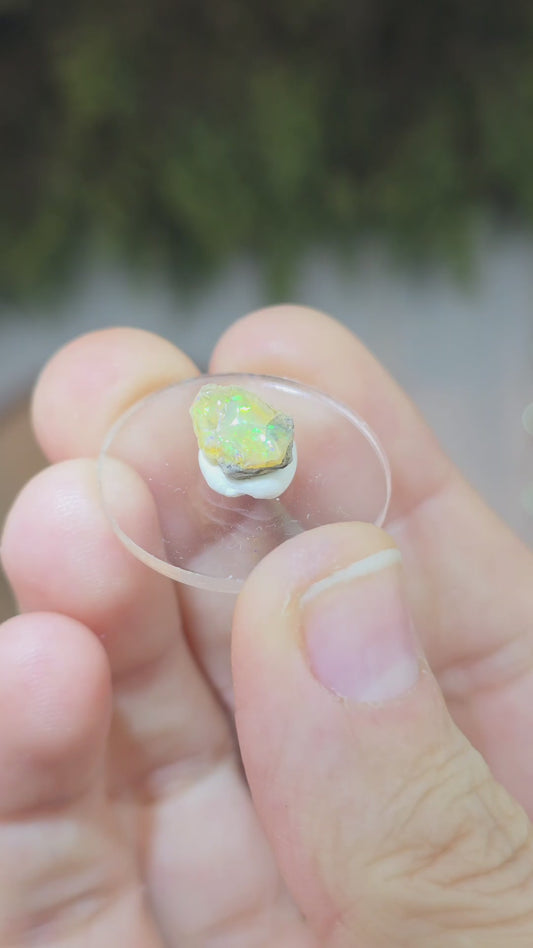 Ethiopian Dry Opal B - Rainbow Flash