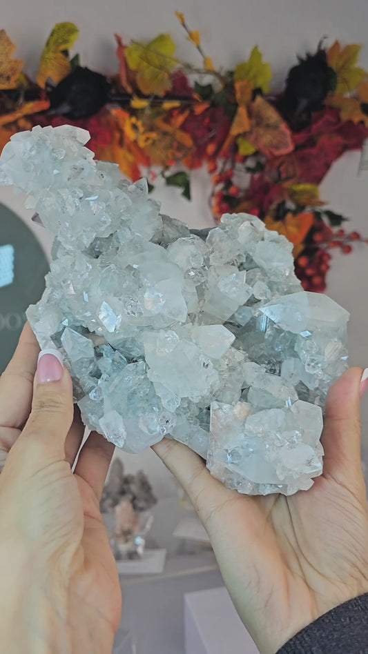 Diamond Apophyllite on Blue Chalcedony with Stilbite from India - MAS2441