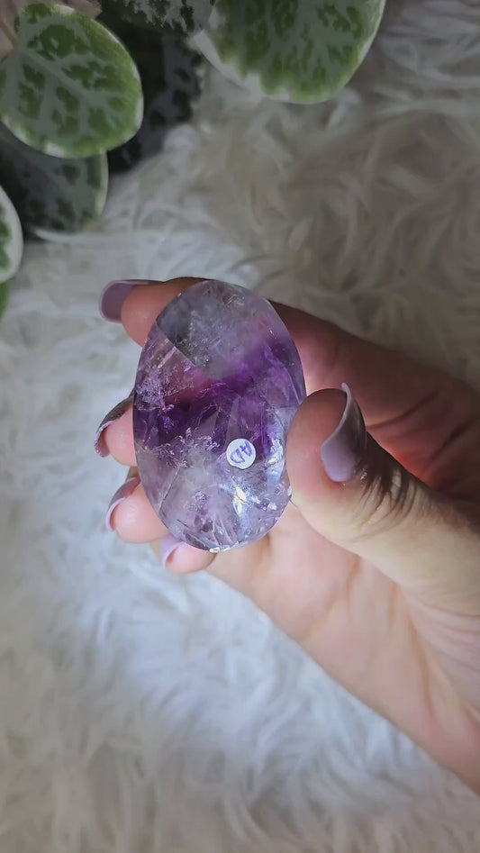 Fluorite Palm AD - MAS1112
