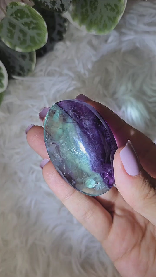 Fluorite Palm I - MAS1091