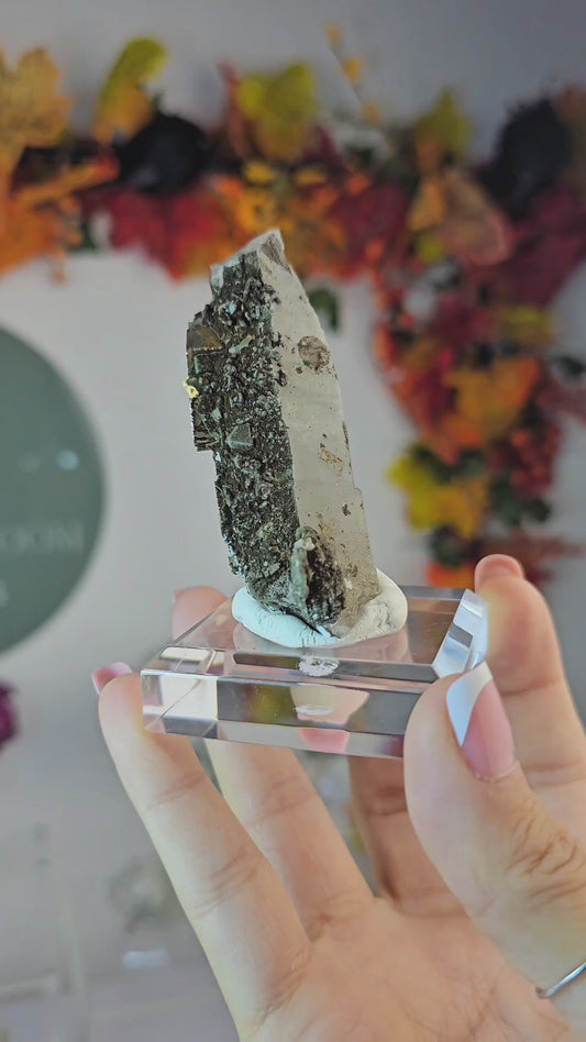 Candle Quartz with Cubic Pyrite from Inner Mongolia - MAS2999