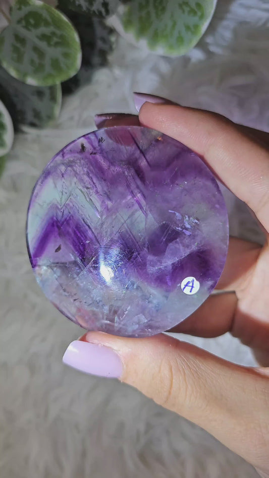 Round Fluorite Palm A - MAS1049