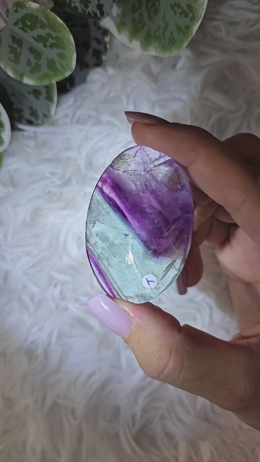 Fluorite Palm Y - MAS1107