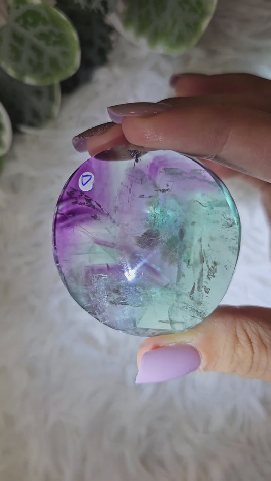 Round Fluorite Palm D - MAS1052
