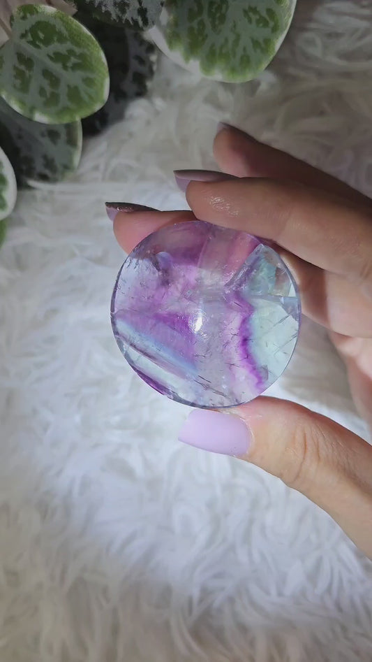 Round Fluorite Palm M - MAS1061