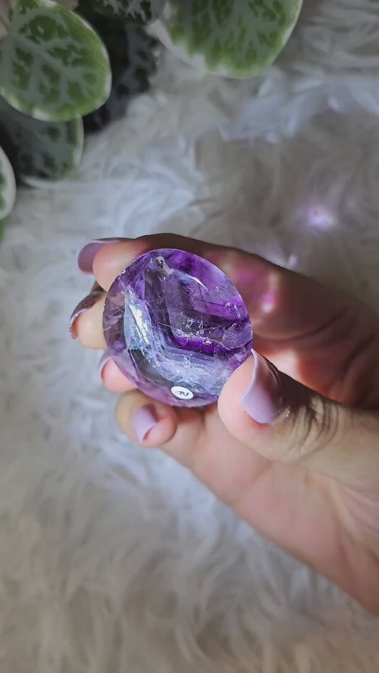Fluorite Palm AF - MAS1114