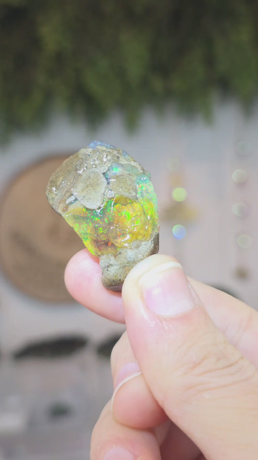 Ethiopian Water Opal D - Rainbow Flash