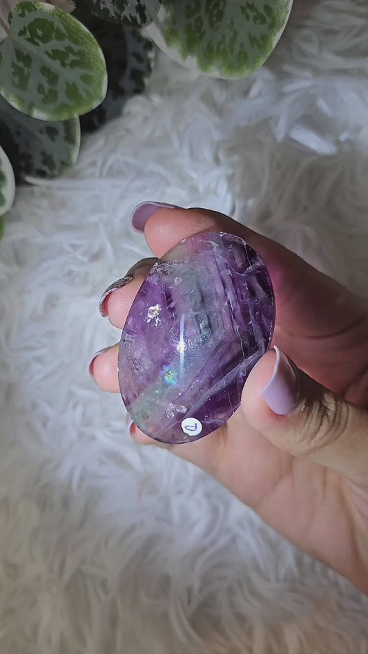 Fluorite Palm P - MAS1098