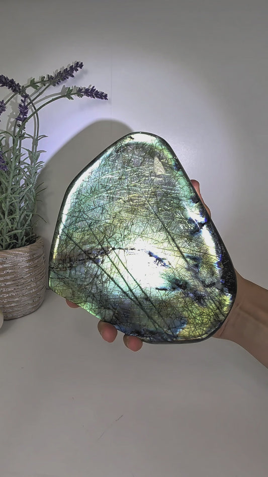 2.1kg Labradorite Statement Freeform from Madagascar