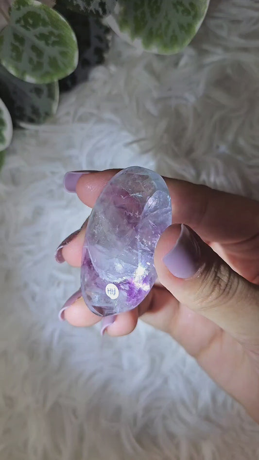 Fluorite Palm AH - MAS1116
